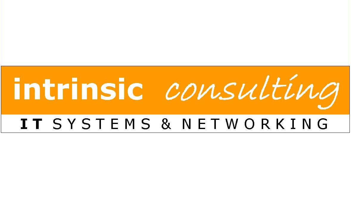 Intrinsic Consulting nv
			- logo